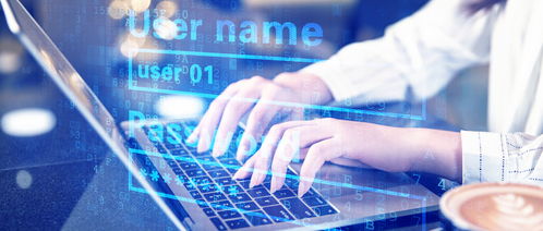 ?？朴嬎銠C專業涵蓋的數據處理服務領域詳解