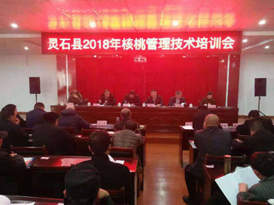 圍繞主導(dǎo)產(chǎn)業(yè)，開展精準(zhǔn)技術(shù)培訓(xùn)，賦能鄉(xiāng)鎮(zhèn)經(jīng)濟(jì)高質(zhì)量發(fā)展